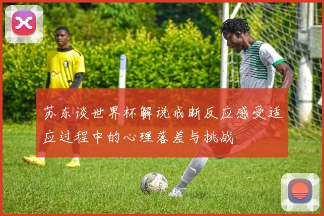 苏东谈世界杯解说戒断反应感受适应过程中的心理落差与挑战