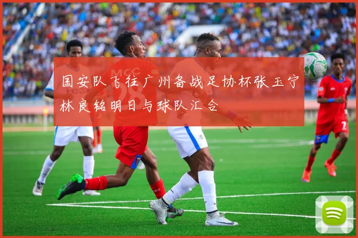 国安队飞往广州备战足协杯张玉宁林良铭明日与球队汇合